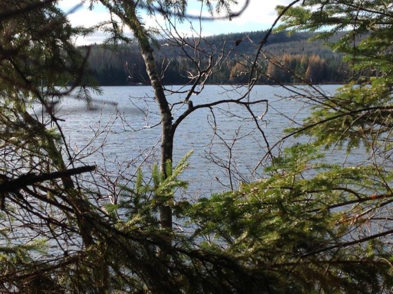 Terrain - à vendre - Saint-Donat - 13336949