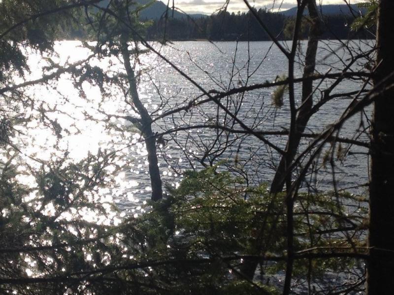 Terrain - à vendre - Saint-Donat - 13336949