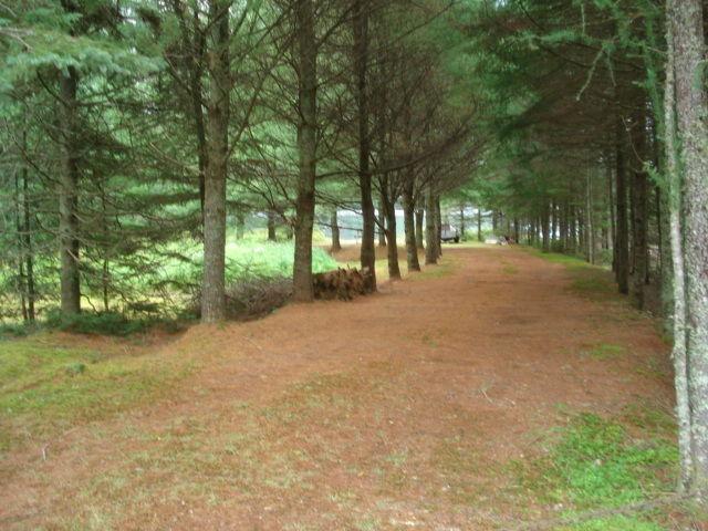 Terrain - à vendre - Saint-Donat - 23001971