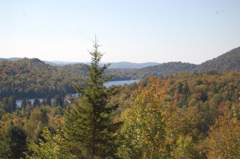 Terrain - à vendre - Saint-Faustin/Lac-Carré - 19113174