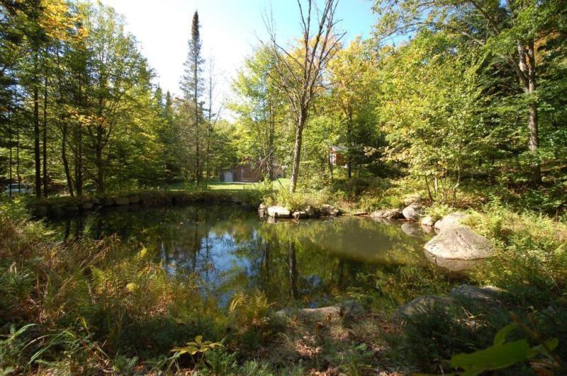 Terrain - à vendre - Saint-Faustin/Lac-Carré - 19113174