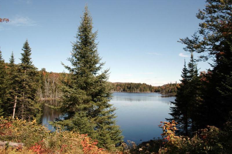 Terrain - à vendre - Wentworth-Nord - 16994653
