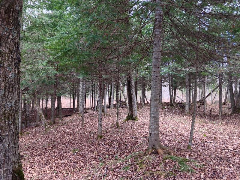 Très grand terrain avec accès au Lac