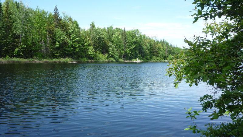 Terrain bord de l'eau à vendre en Mauricie