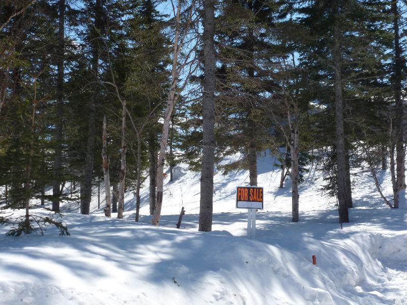 Terrain pour chalet ski Val D'Irene, Amqui. 400' remonte pente