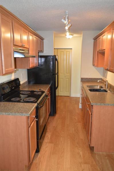 Spacious Newly Renovated Two Bedroom Apartment Available!