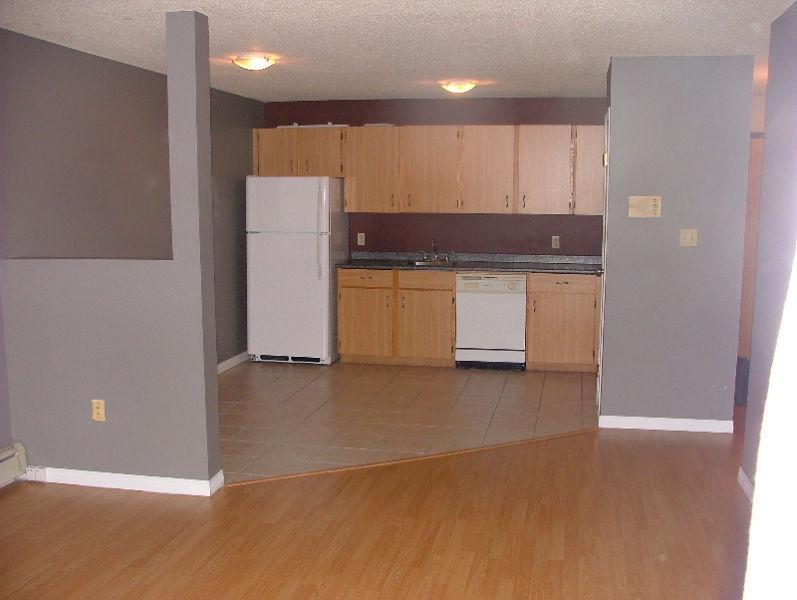 Awesome 2 BDRM condo for rent w/insuite laundry in East !!