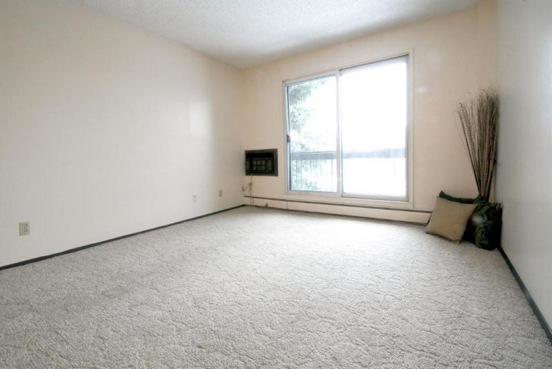 Limited Time Only! Free May rent on our Spacious 3 Bedrooms