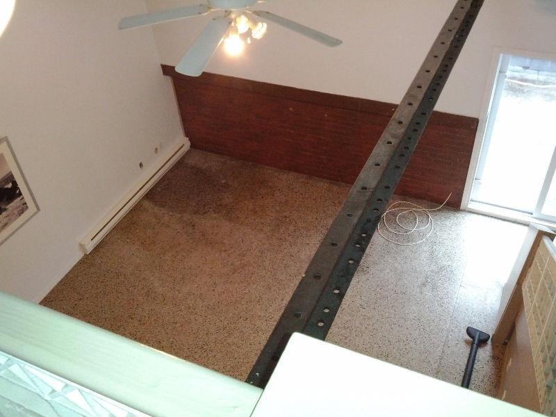 LOFT sur deux étages - À voir!