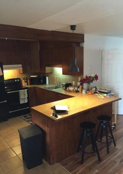 Superbe Loft, rénové, libre juillet, 615$/mois