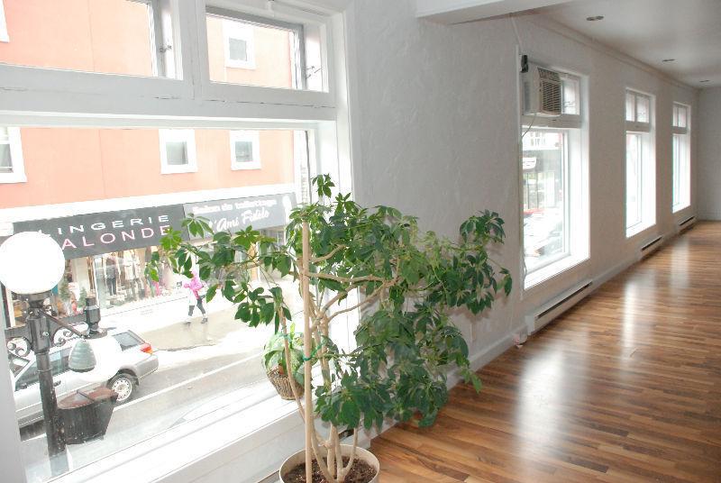 LOFT AU CENTRE VILLE À LOUER