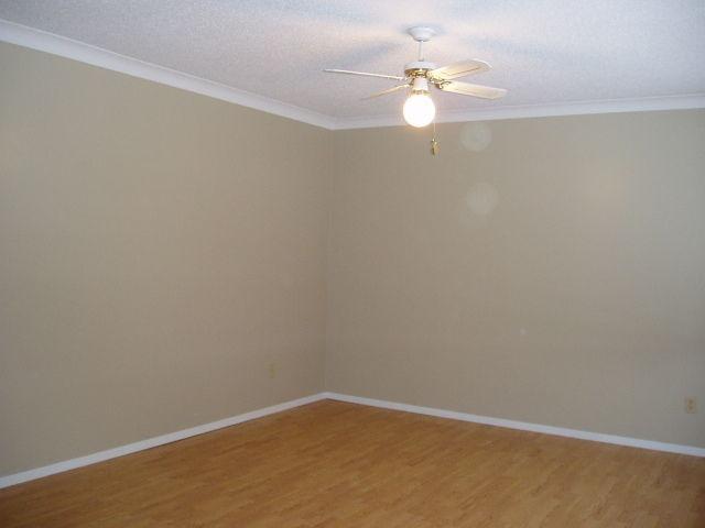 Main floor of house and basement suite available