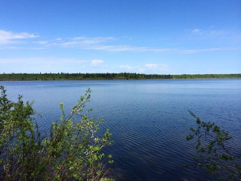 FOR SALE - LARGE Titled, Lakefront lot on Murphy Lake SK