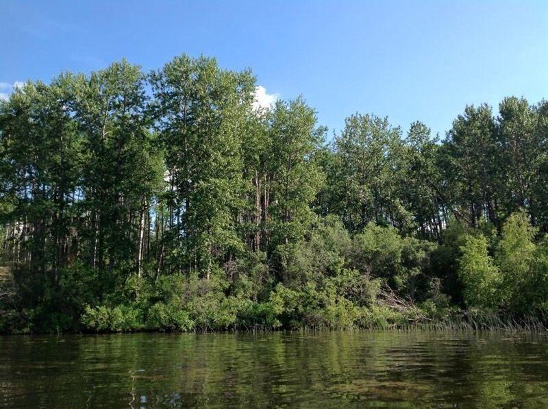 FOR SALE - LARGE Titled, Lakefront lot on Murphy Lake SK