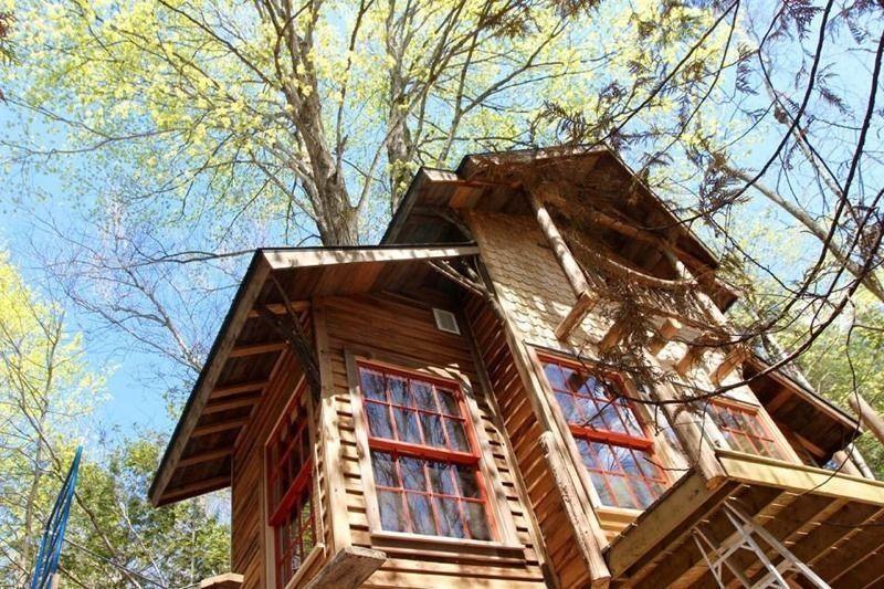 Petit chalet perché à louer