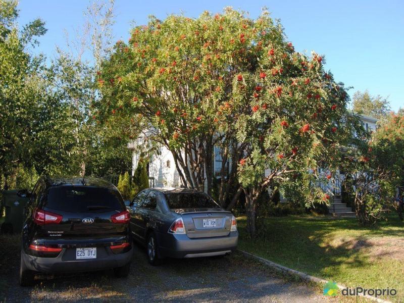 239 900$ - Jumelé à vendre à Sept-Iles