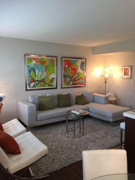 1 Renter Wanted - New Condo