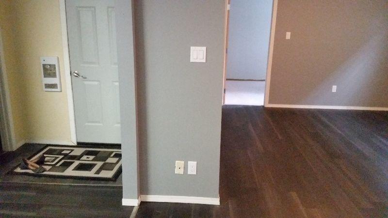 Updated Pet friendly 1 bedroom basement suite for rent