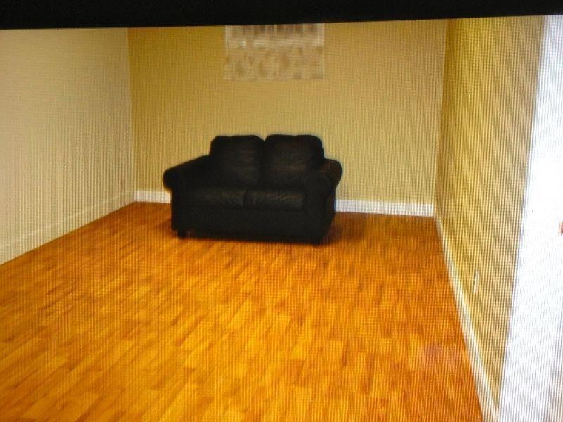 1 Bedroom Basement Suite for Rent