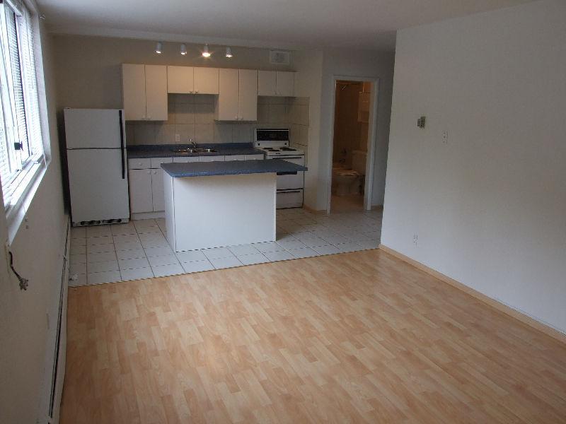 One bedroom apartment Lower Mount Royal
