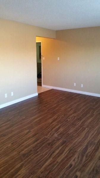 Large 1-bedroom apartment - Avail June - 154th Street