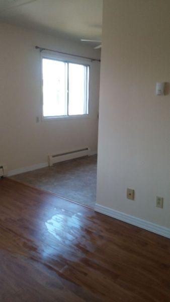 One bedroom apartment for rent at 10138-123 Street Downtown
