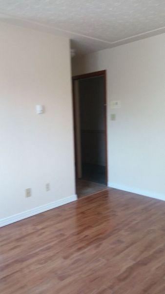 One bedroom apartment for rent at 10138-123 Street Oliver Area