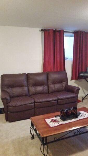 FURNISHED 1 BEDROOM APARTMENT for rent in Thickwood