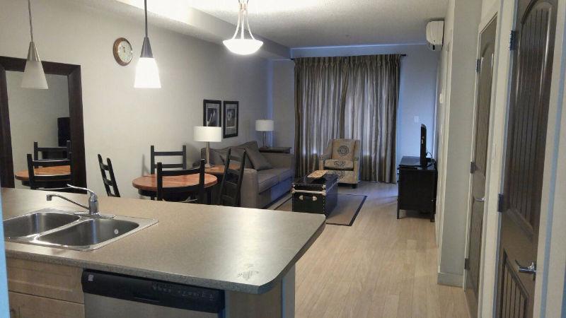 GREAT EXECUTIVE FULLY FURNISHED CONDO - CHECKED AFTER RE-ENTRY