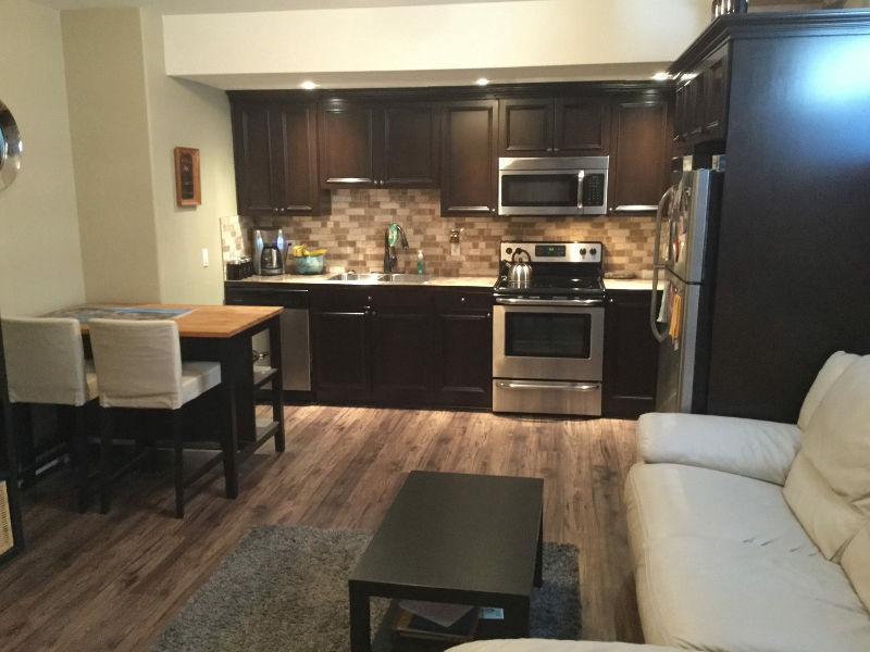 Pet friendly 1 Bedroom basement suite