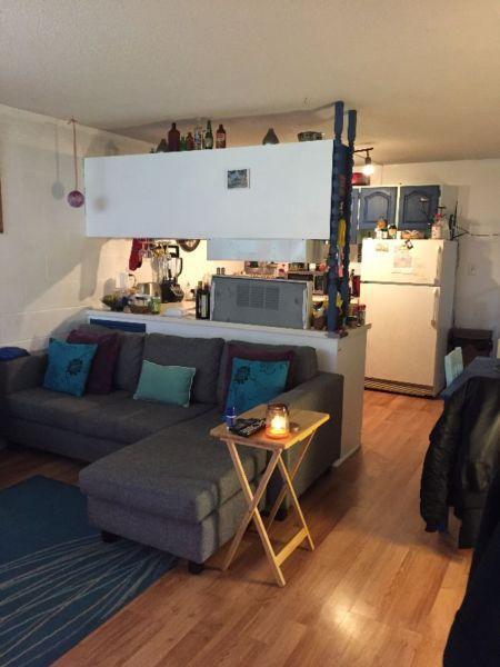 2 BR Basement Inglewood