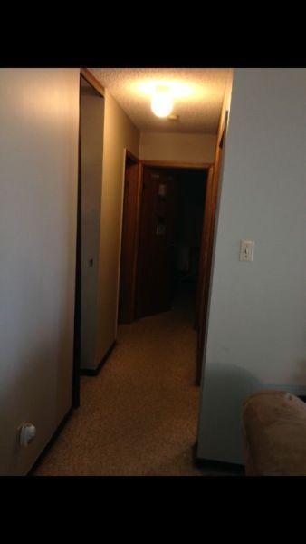 2 bedroom downtown apartment available ASAP $1250 per month