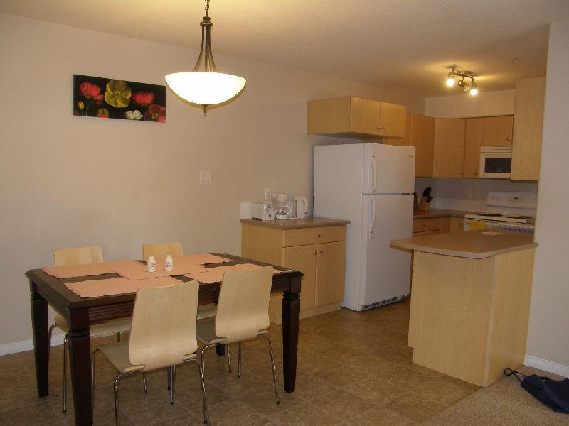 Available 2 Bed 2 Bath executive furnished apartment in Downtown