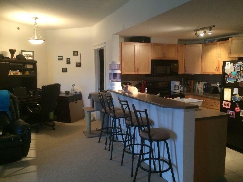 Beautiful, clean, quite and secure condo in downtown Fort Mc