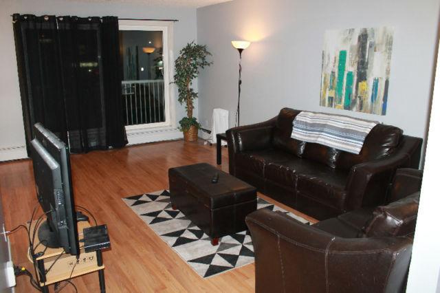 Fully Furnished 2 Bedroom Apartment - Downtown