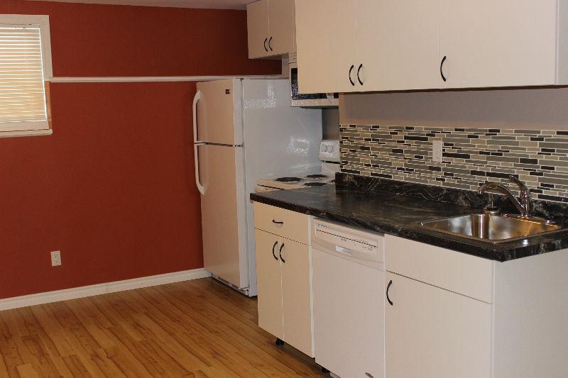 Newer 2 bedroom Basement Suite