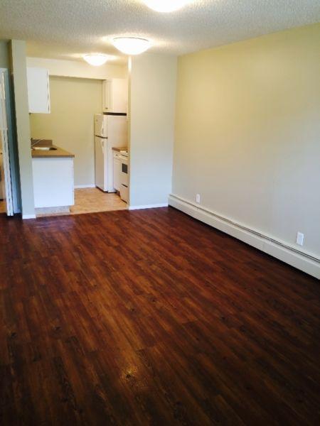 Newly Renovated Bachelor- Condo For Rent