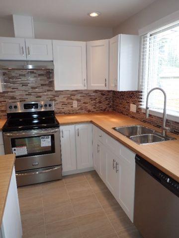 Over 3000sqft of living space in this completely renovated home