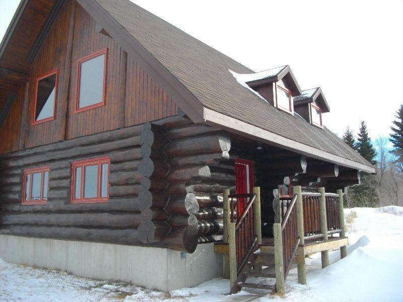 Log home, small town living. Potential for revenue