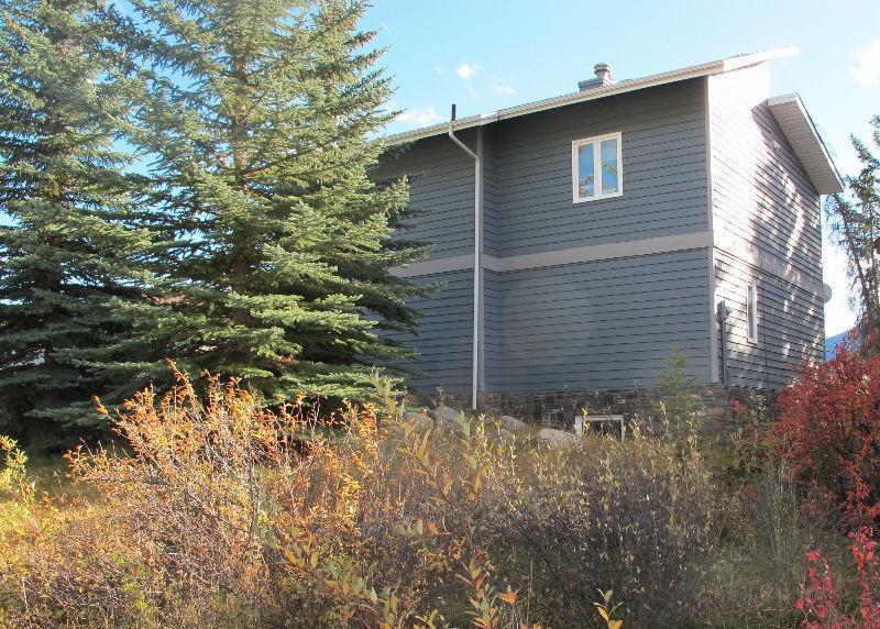 Spacious sunny three bedroom home