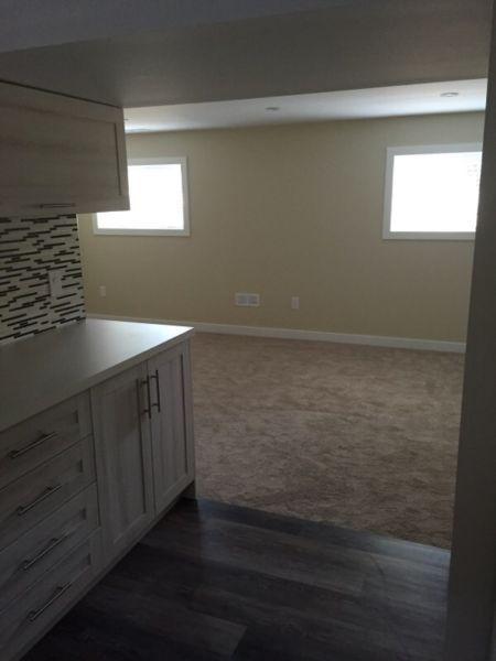 Beautiful 2 bedroom bi level basement suite in Charleswood!