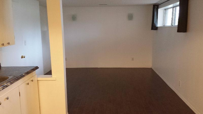 bright 2 bedroom basement suite