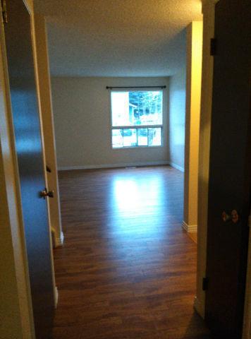 Newly Modern and Renovated 3 Bedroom 1.5 Bath Townhome For Rent