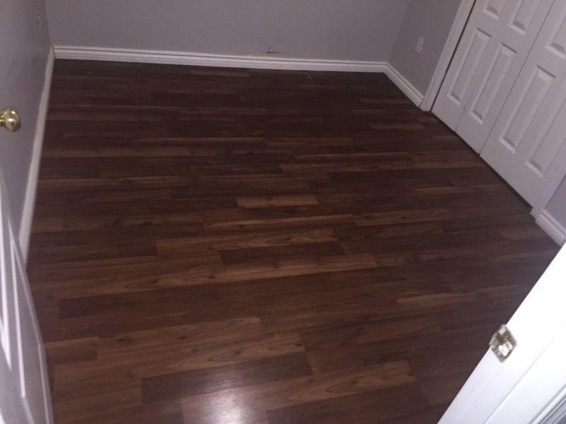 BI LEVEL BASEMENT FOR RENT WITH SEPRATE ENTRANCE