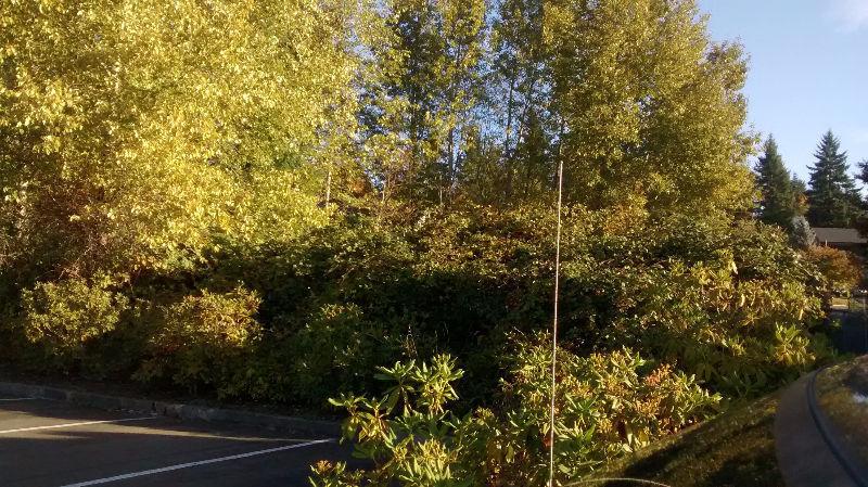 Superb building Lot, views, quiet and Blackberries