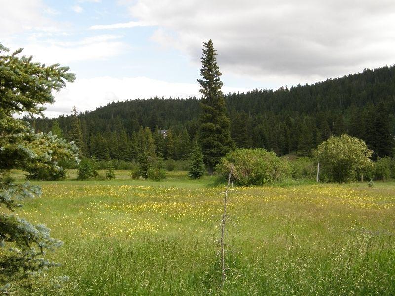 MOUNTAIN ACREAGE ON WILLOW DRIVE IN CROWSNEST PASS