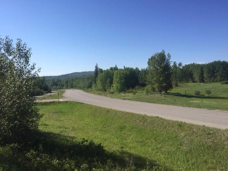 Fenced 60 Acres in Bouchie Lake