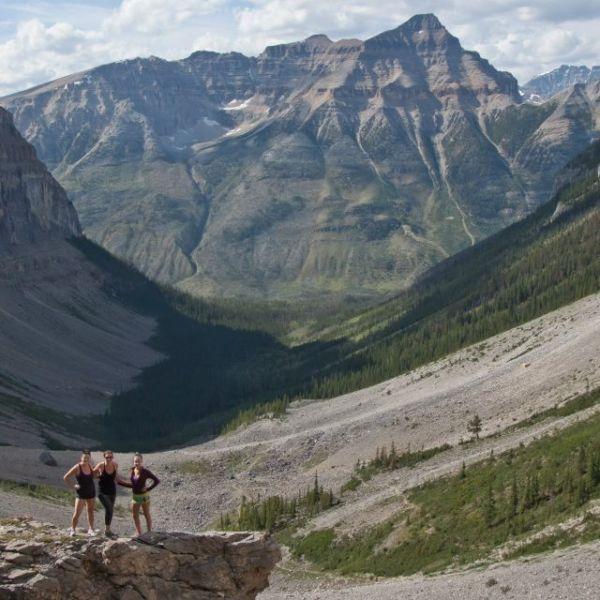 Wanted: Seeking Short Term Room Rental