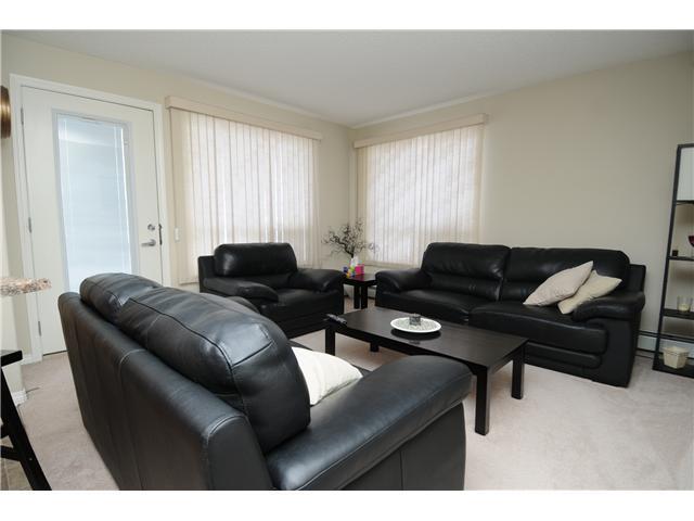 Female seeking female roommate