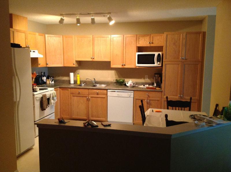 Gay male has room with pvt bath 4 rent in 2 bed 2 bath dt condo